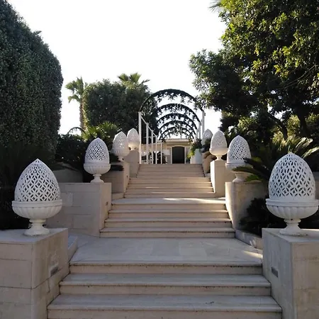 Lafayette Giovinazzo